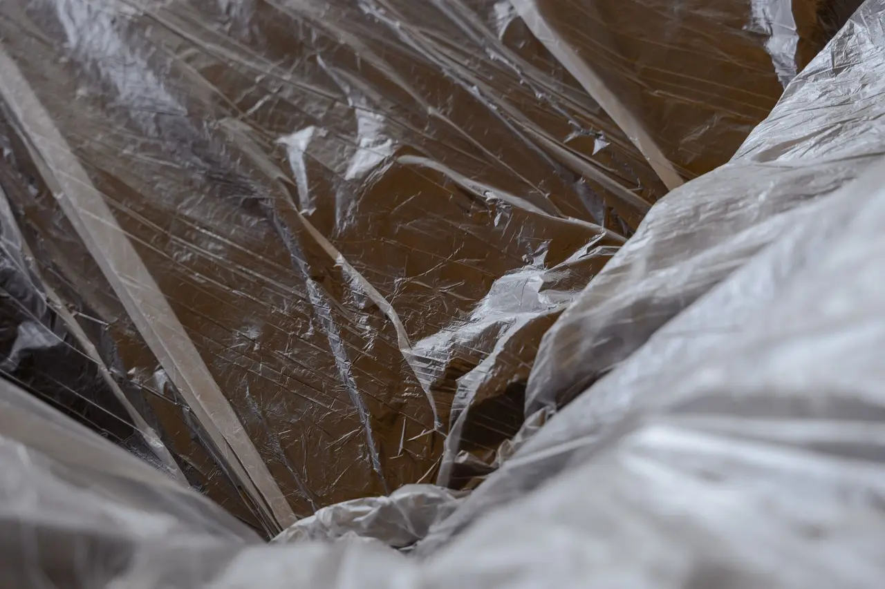 Crawl Space Inspection Services